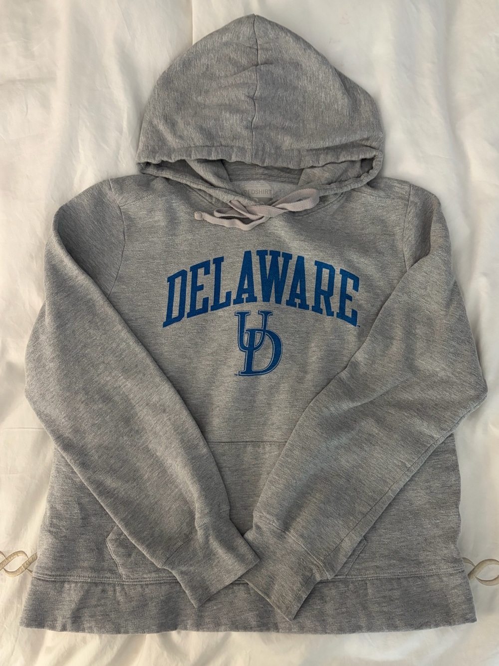 University of Delaware, Gray and Blue Hoodie, Size Adult Medium/Large